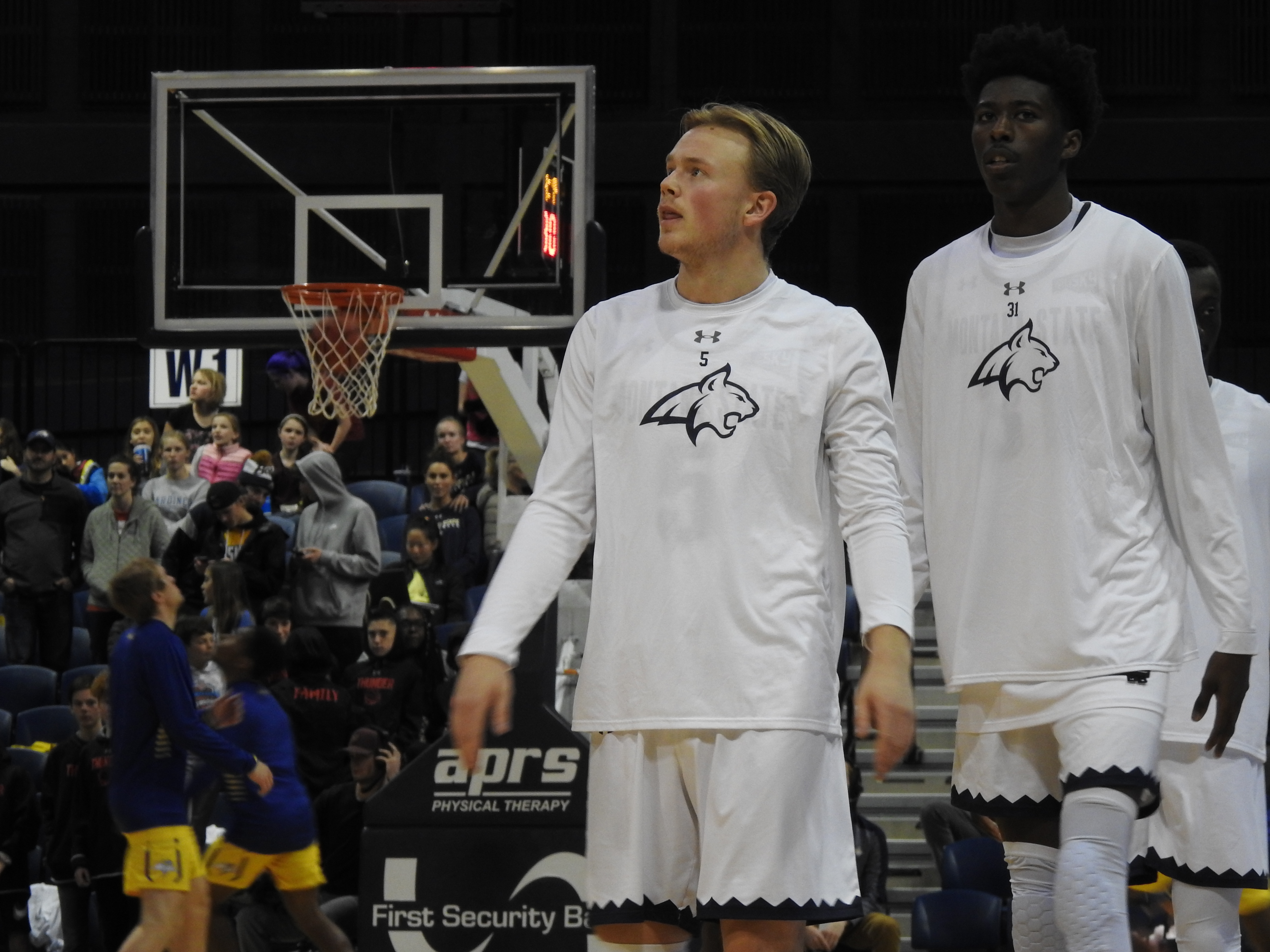 Harald Frey MSU MBB
