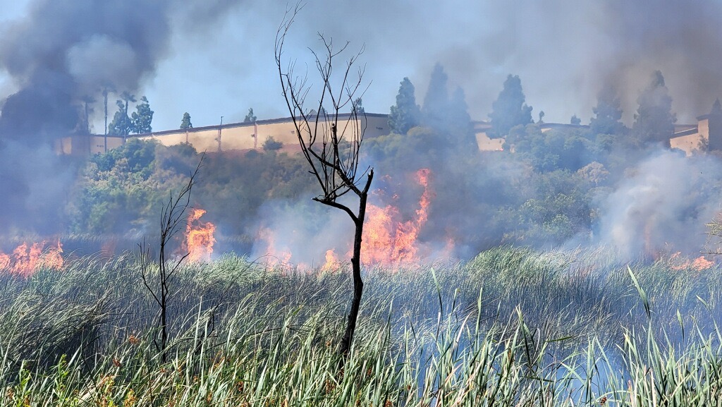 Brush fire in Oceanside
