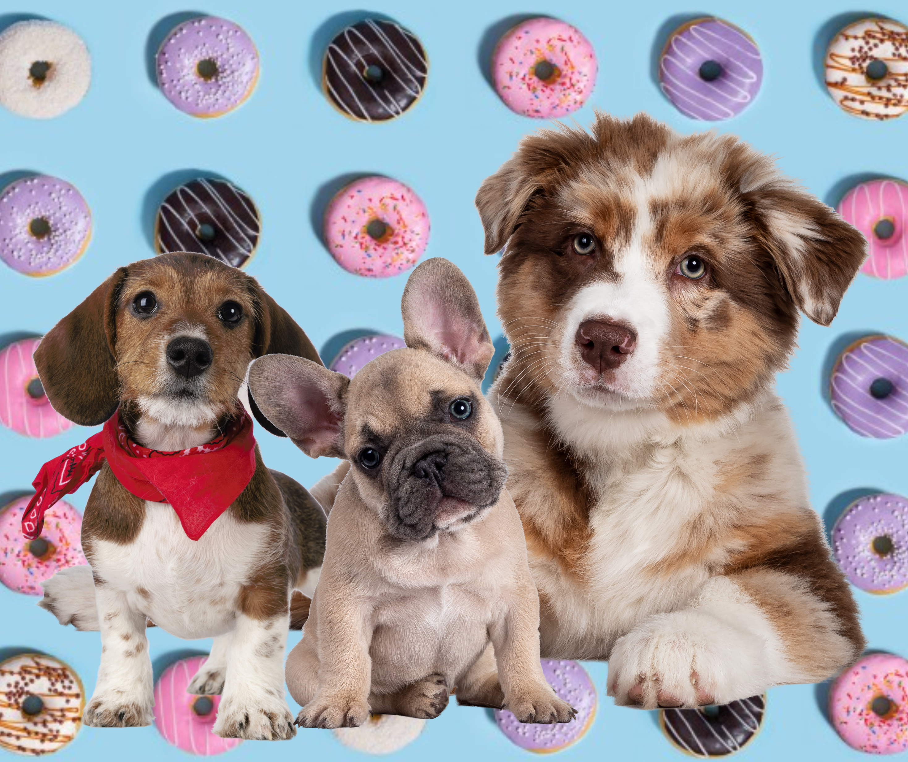 Dogs and Donuts.png