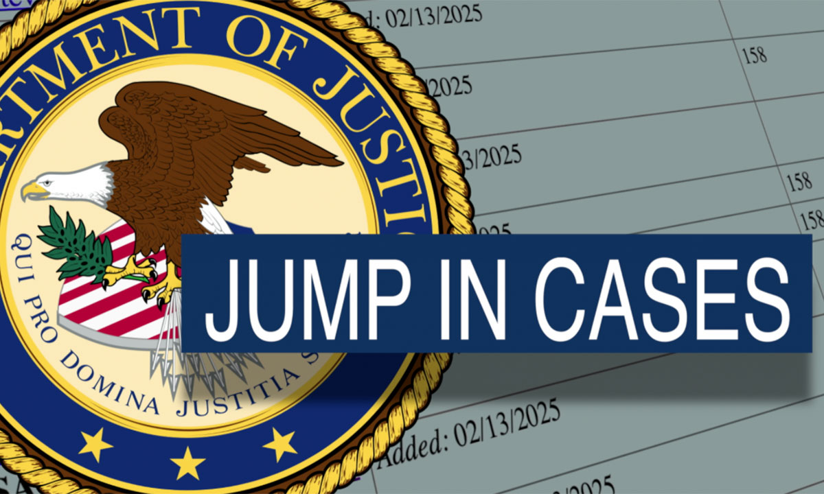 Immigration cases 