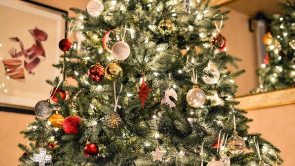 Christmas tree_file.JPG