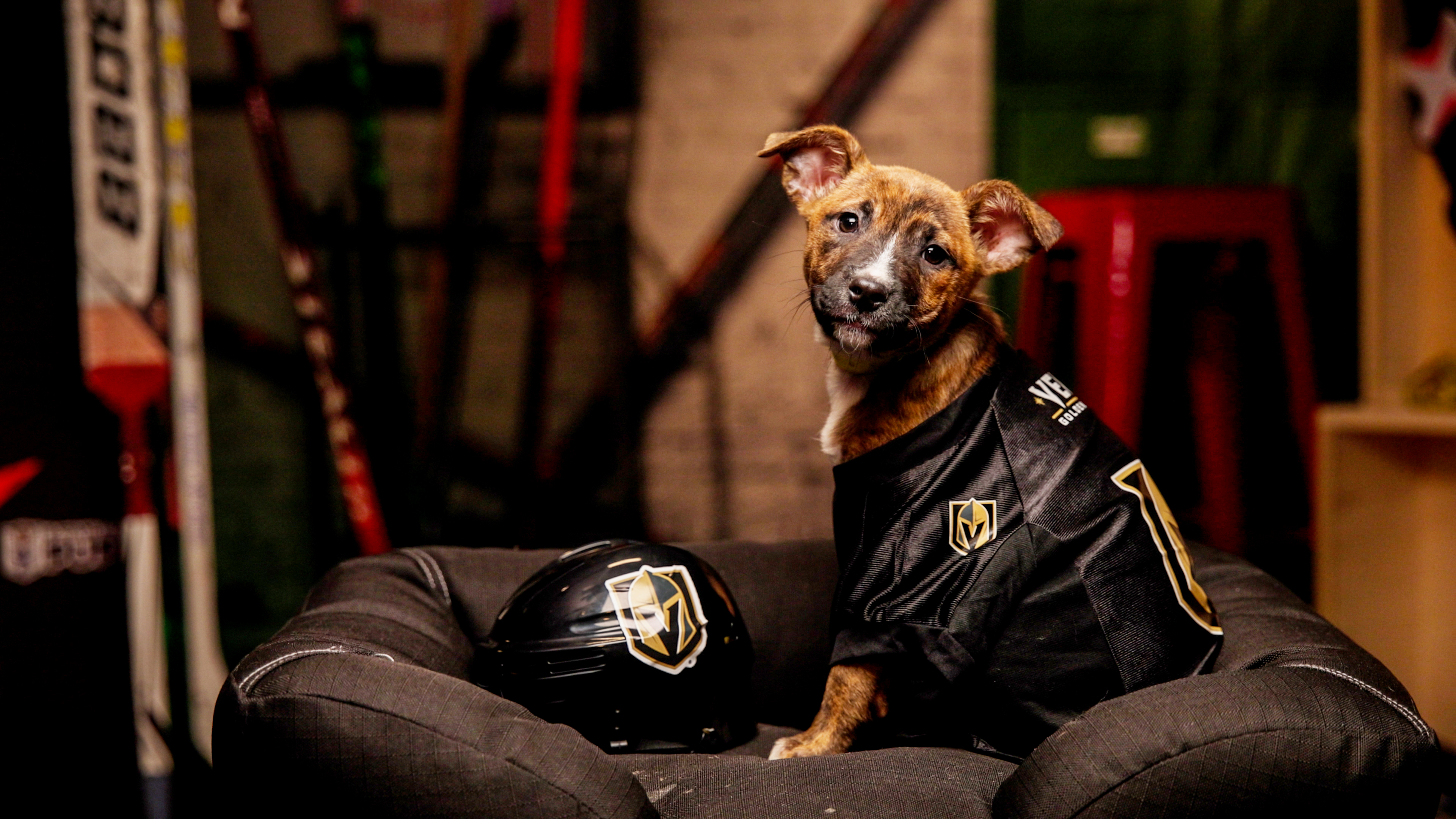 Jack Eichowl representing Vegas Golden Knights in this year's Stanley Pup game