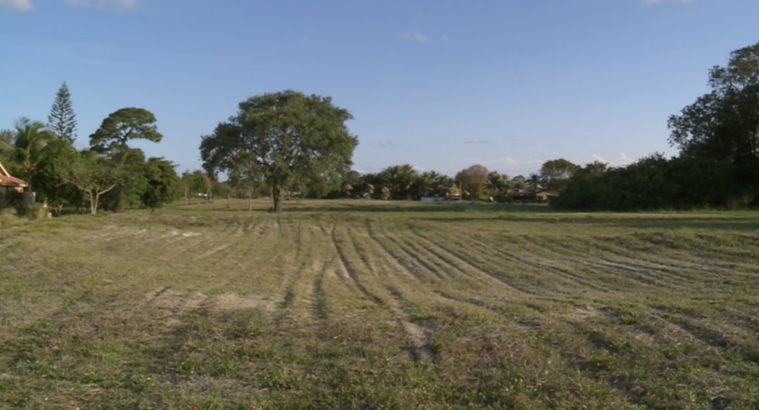 golf course.PNG