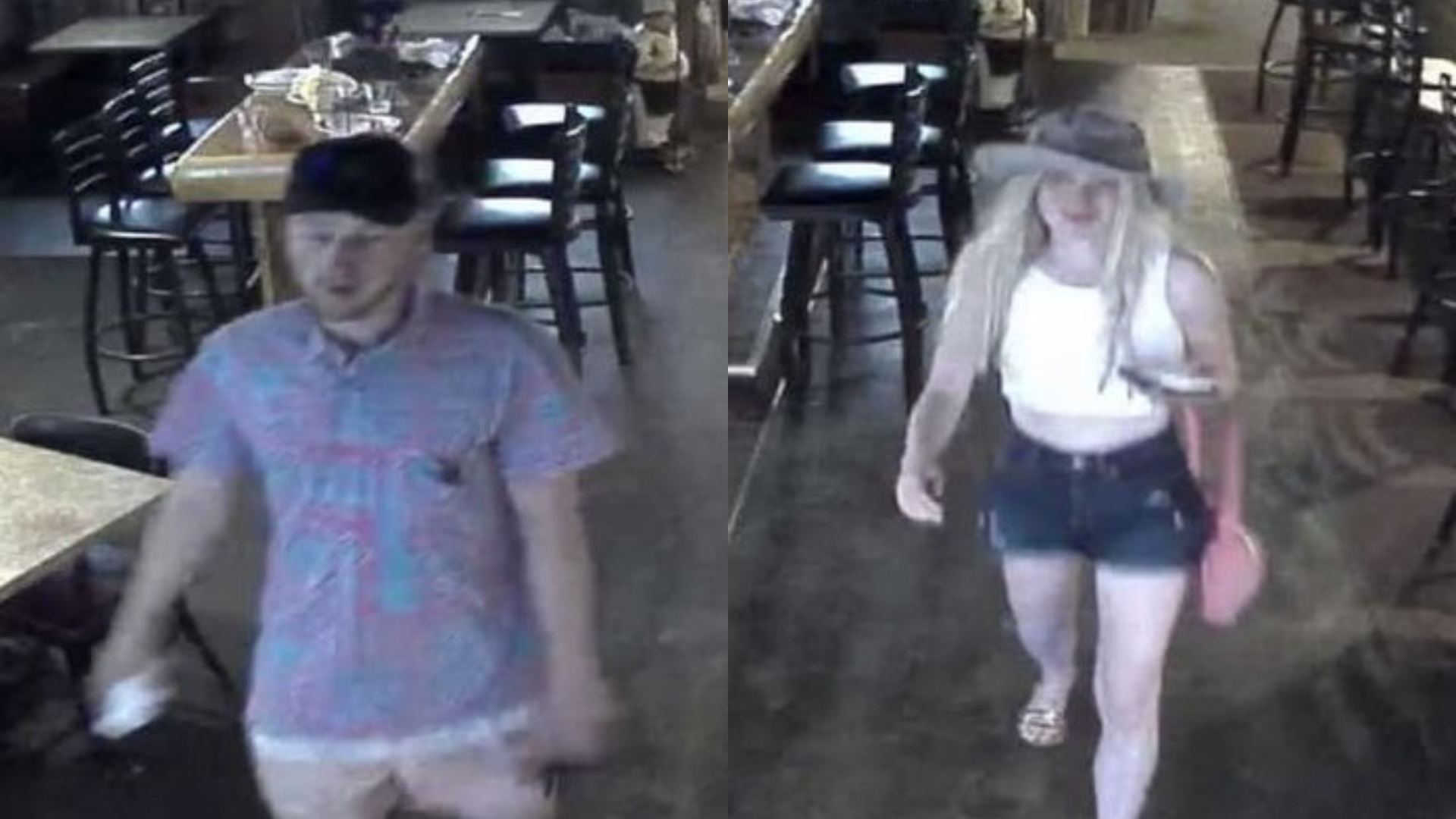 anaconda chase suspects.jpg