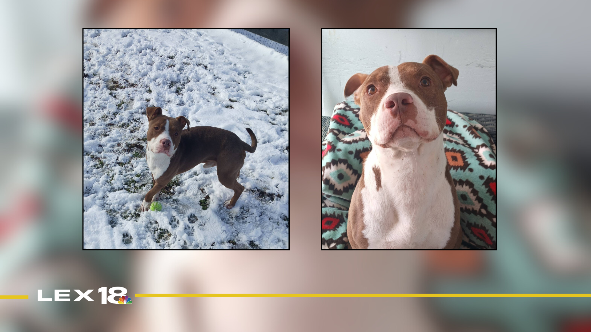 Featured Image Custom Edit (43).png