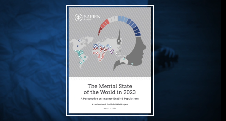 Mental Health Report