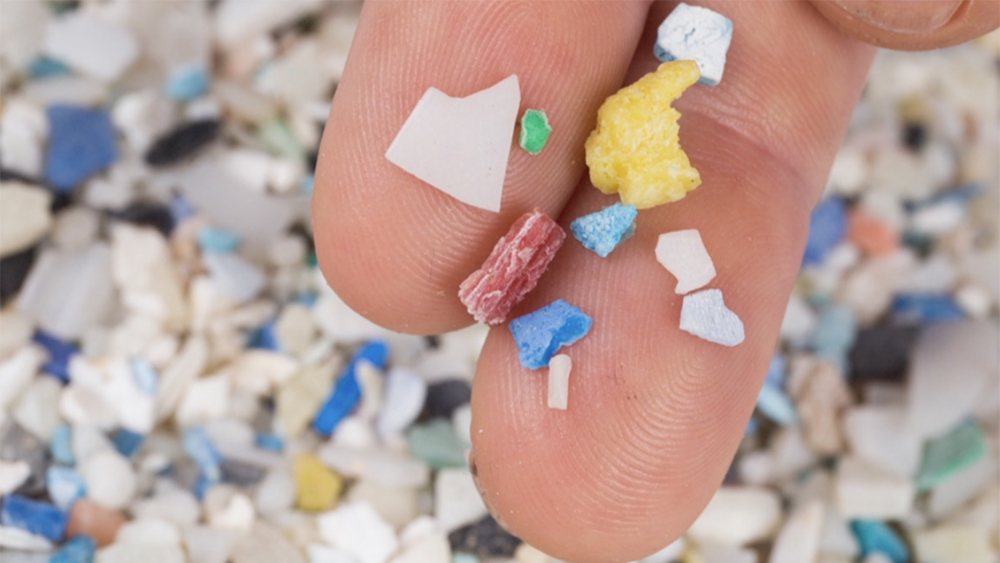 WPTV-MICROPLASTICS.jpg