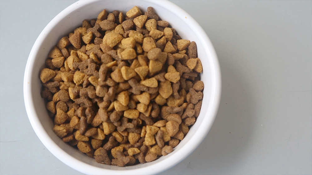 pet-food-generic-wfts.png