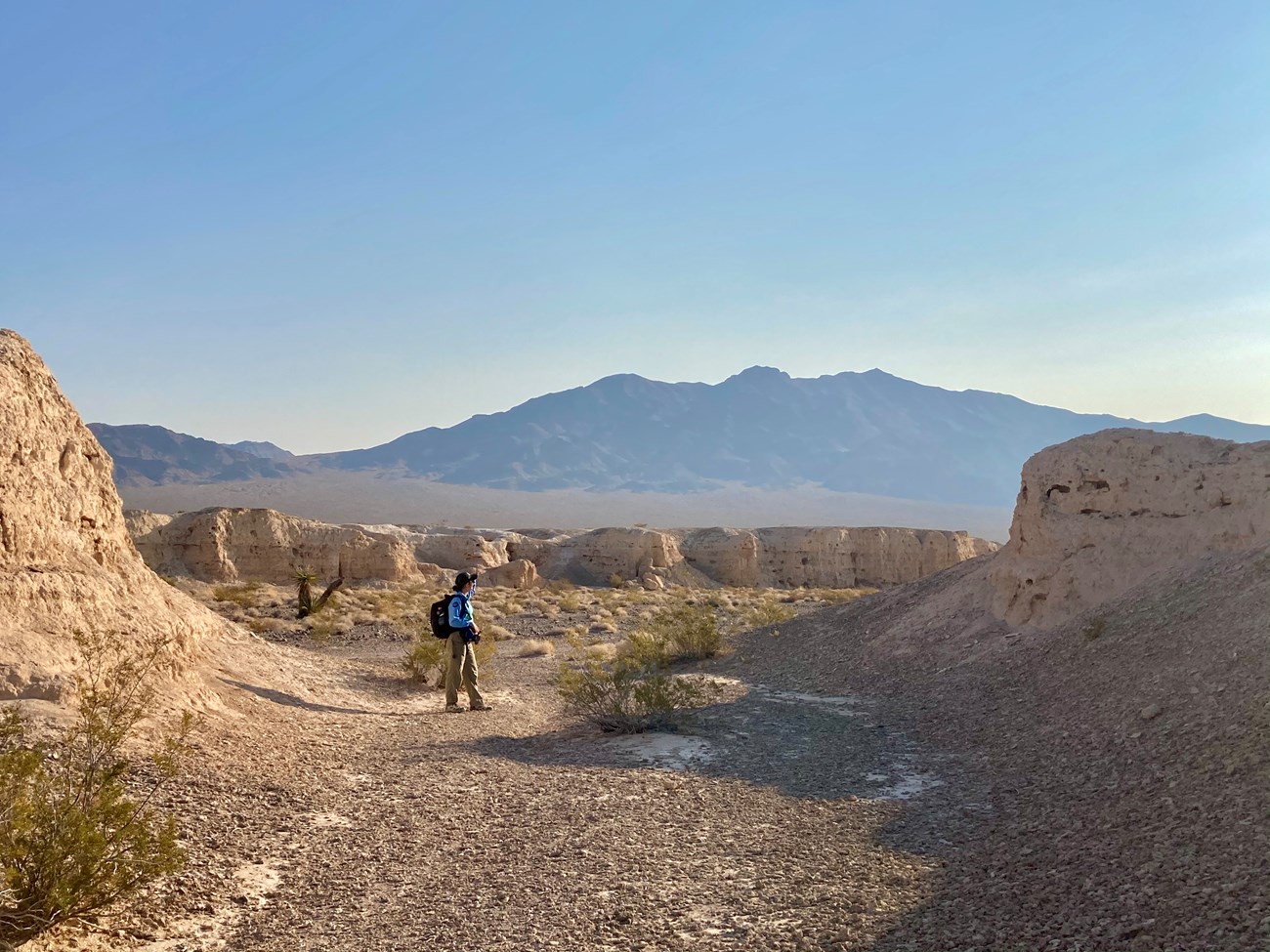 Tule Springs Fossil Beds