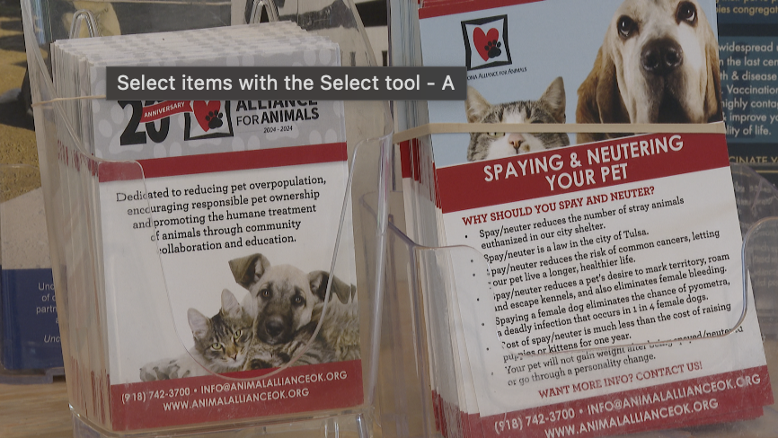 Spay and Neuter OAA