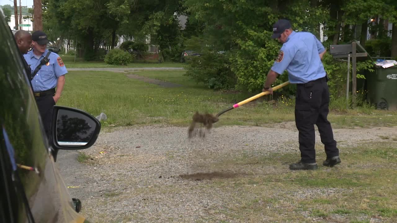 Terminal Avenue Fatal Shooting 