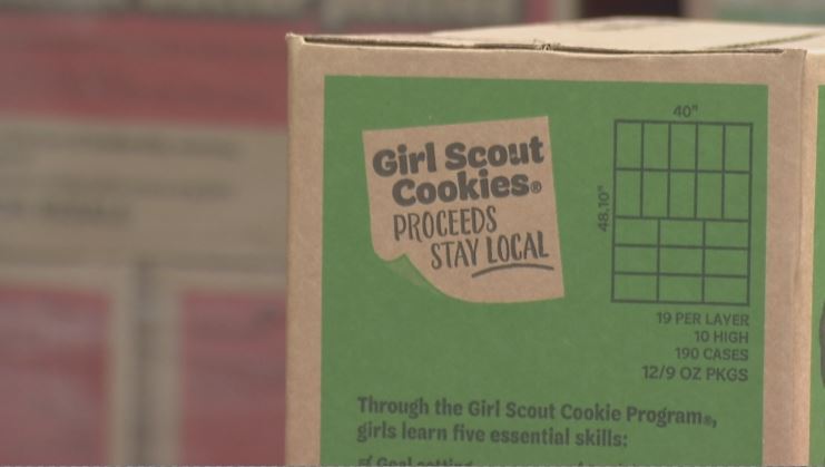 girl scout cookies 1.JPG