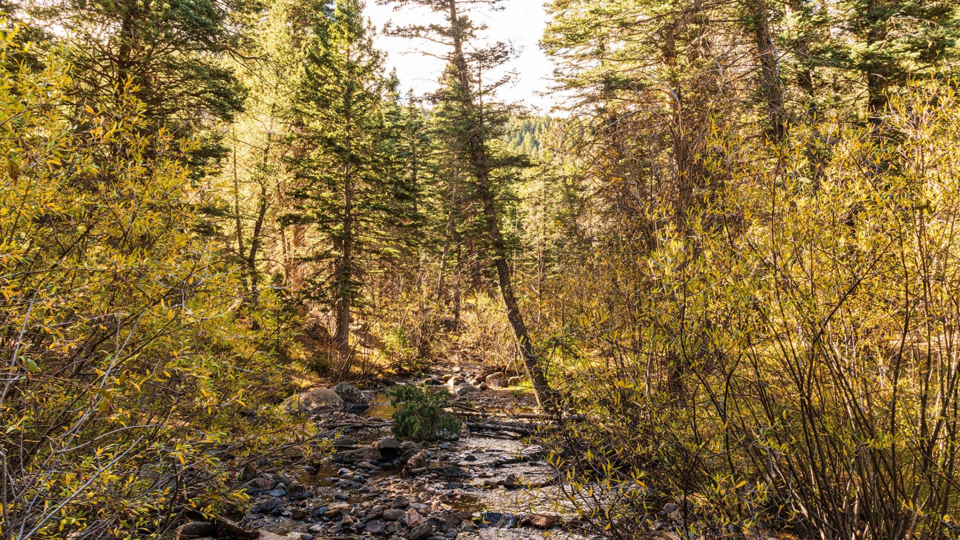 St. Charles Creek