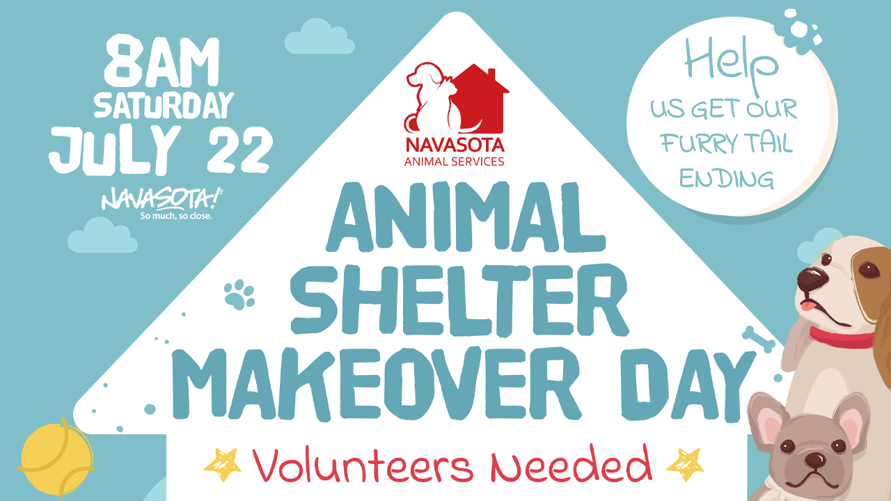 Navasota Animal Shelter Makeover Day 7-22-23.png