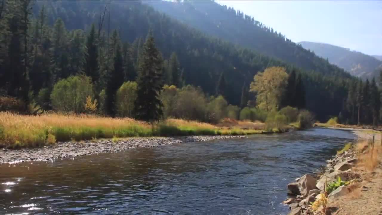 Rock Creek