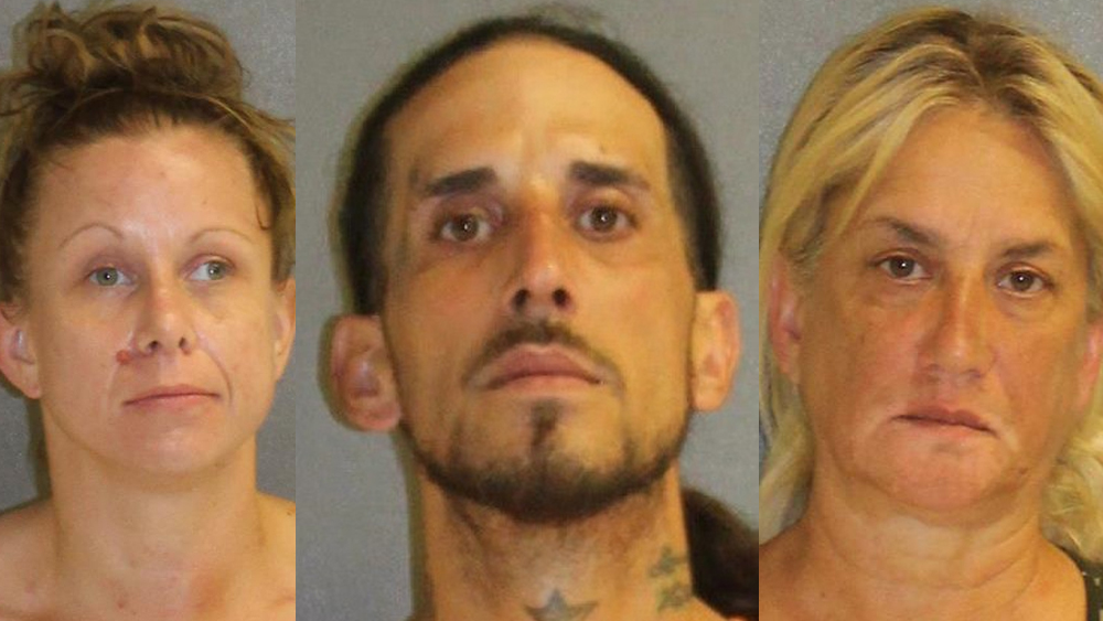 Dana La Flamme, Luis Correa, Migdalia Cruz