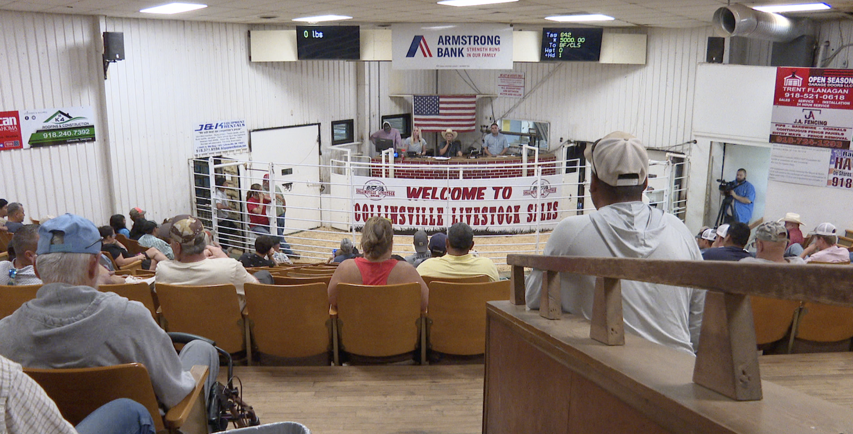 Goat Auction Sara Gilson