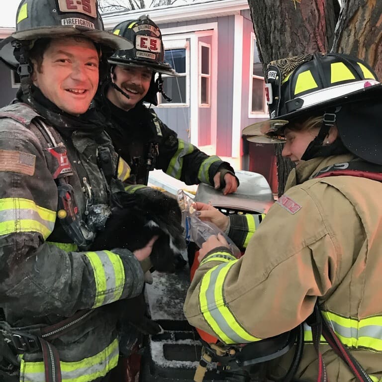 Billings firefighters save pet rabbit from West End house fire Sunday