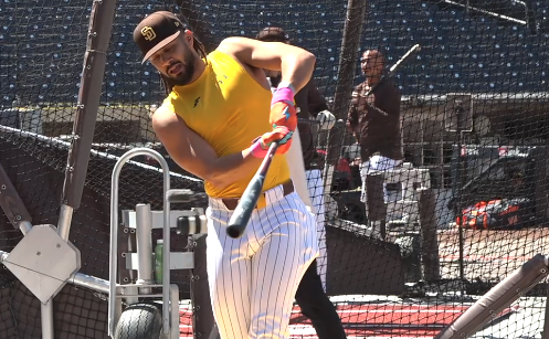 FERNANDO TATIS, JR.png