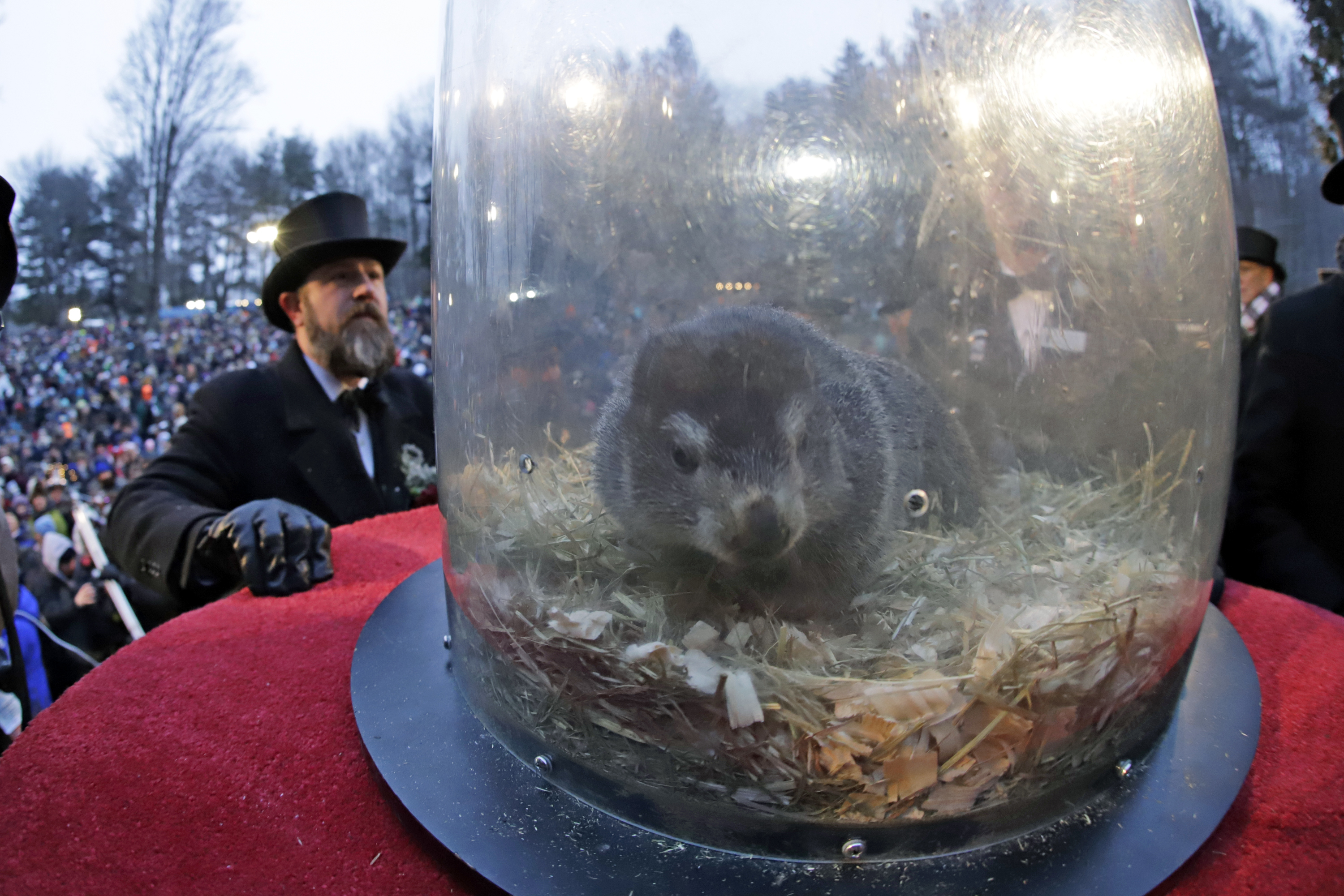 Groundhog's Day