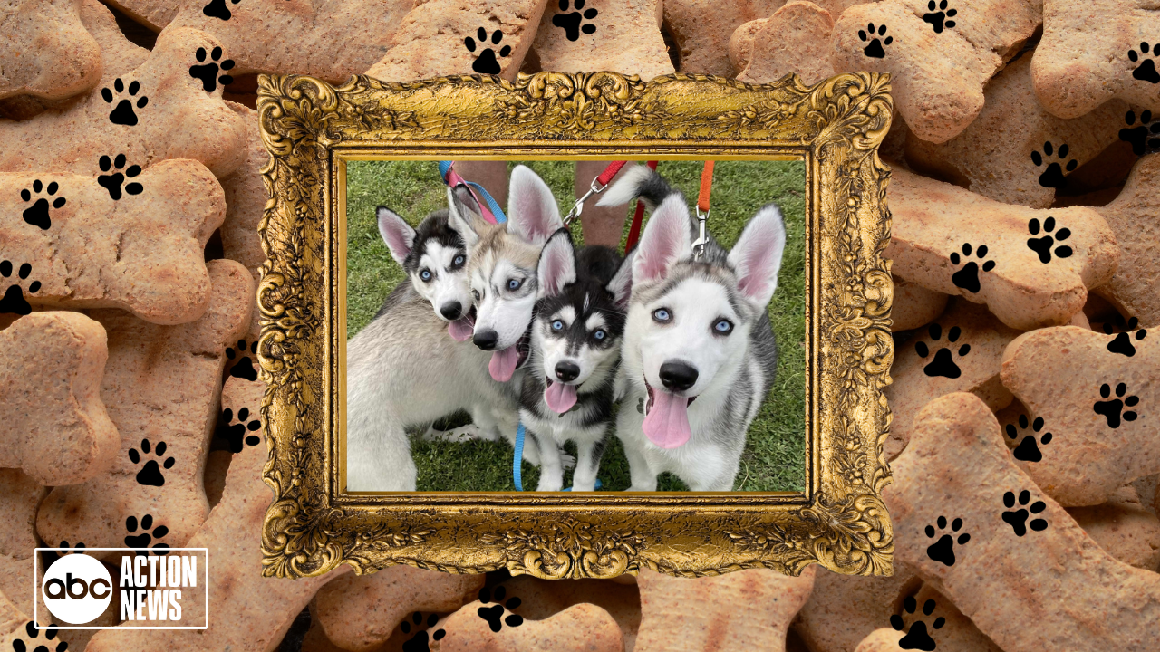 Rescues in Action: Mathis, Houston, Kennedy and Abilene