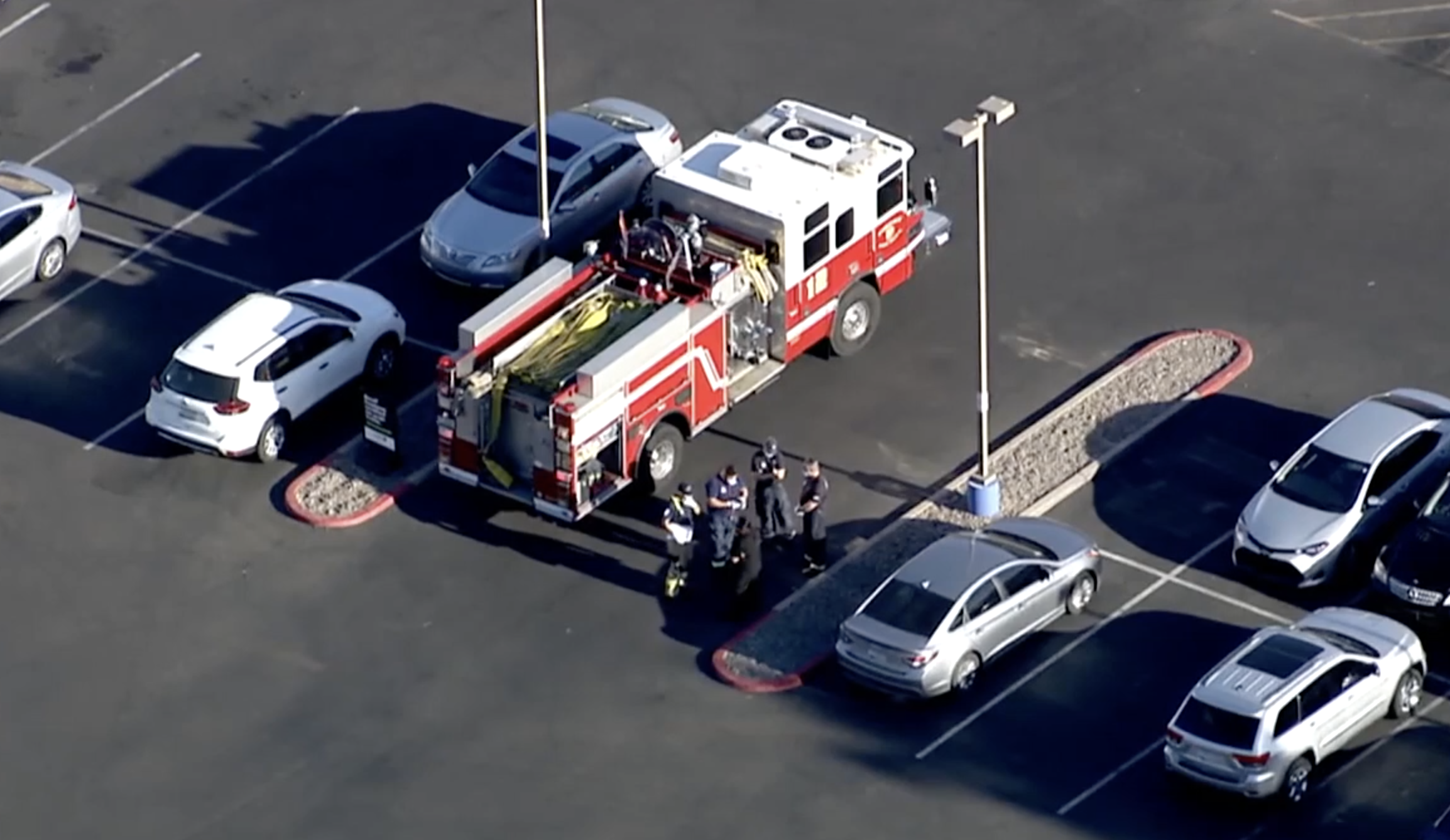 Bee attack near 48th Street and Thomas Road 