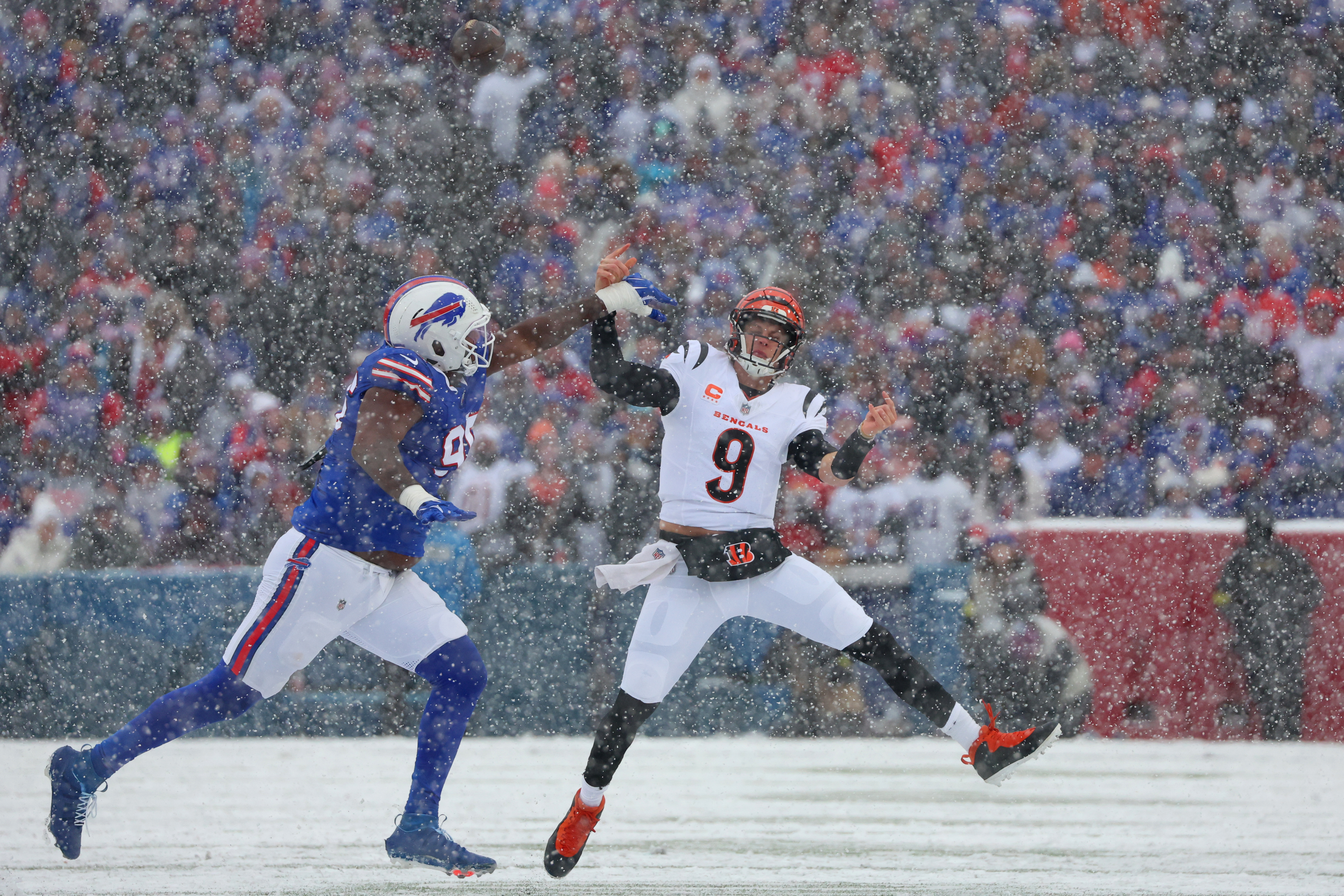 Bengals Bills