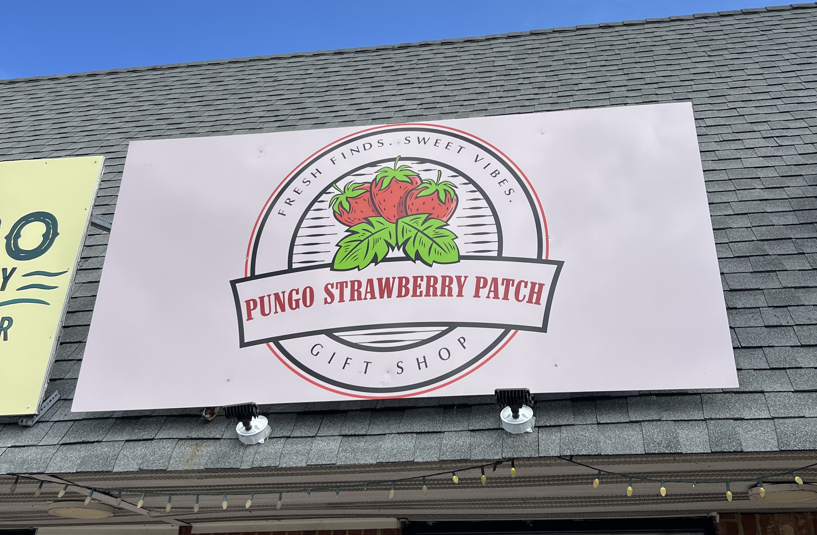Pungo Strawberry Patch