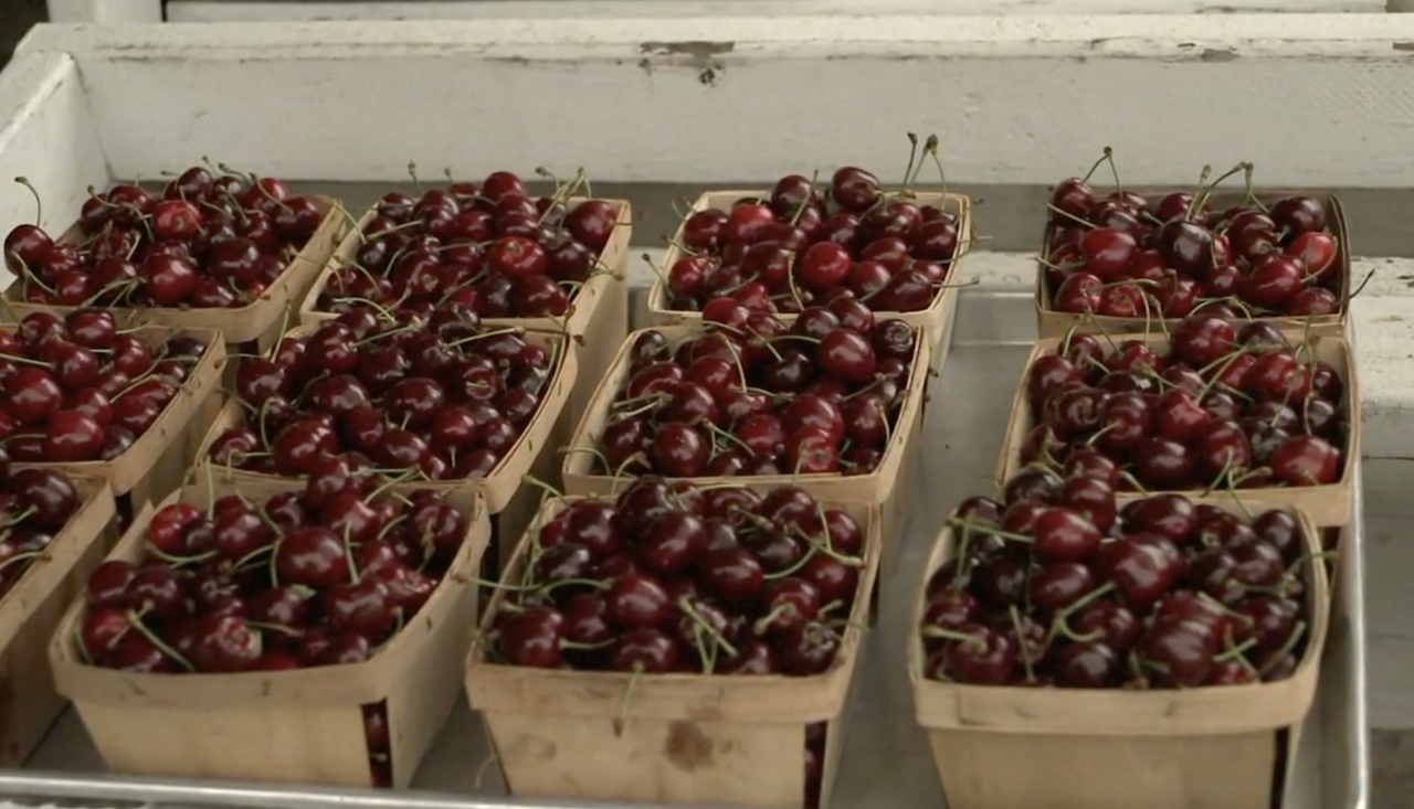 Cherries.png