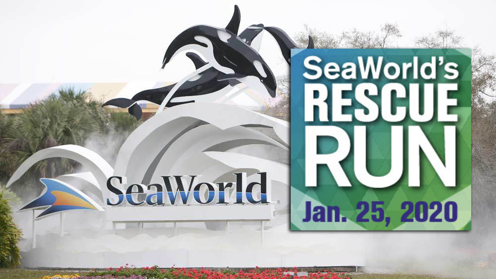 WPTV-SEAWORLD-RESCUE-RUN.jpg