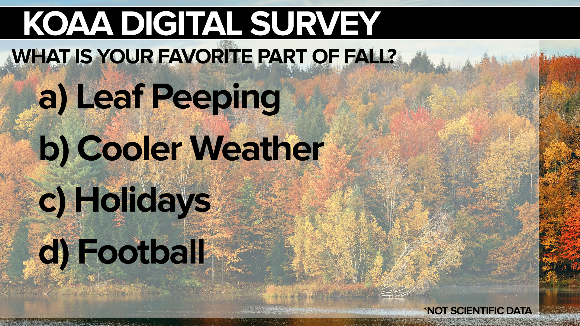 SURVEY Autumn.jpg