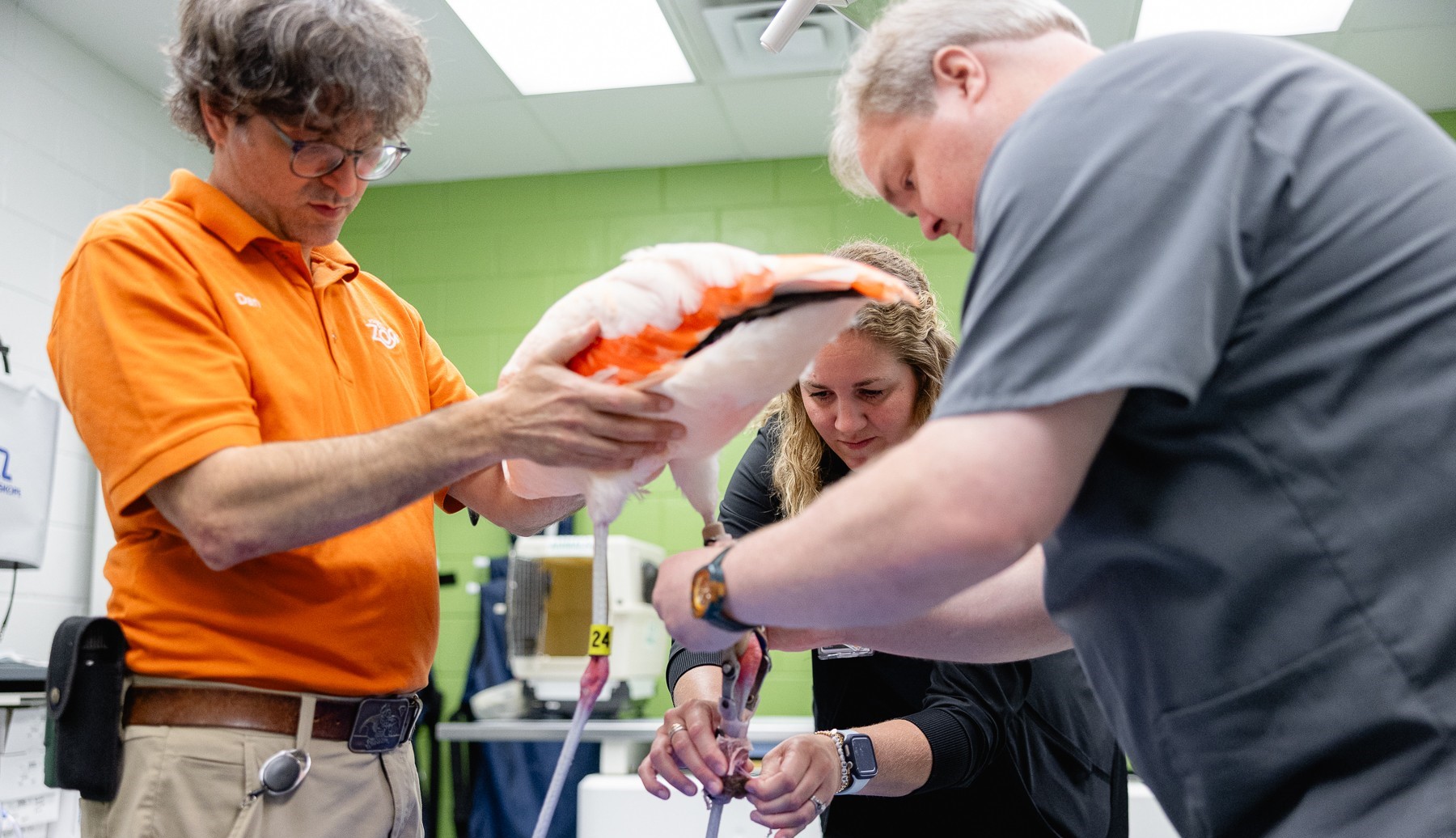 Flamingo Rehabilitation at Mary Free Bed