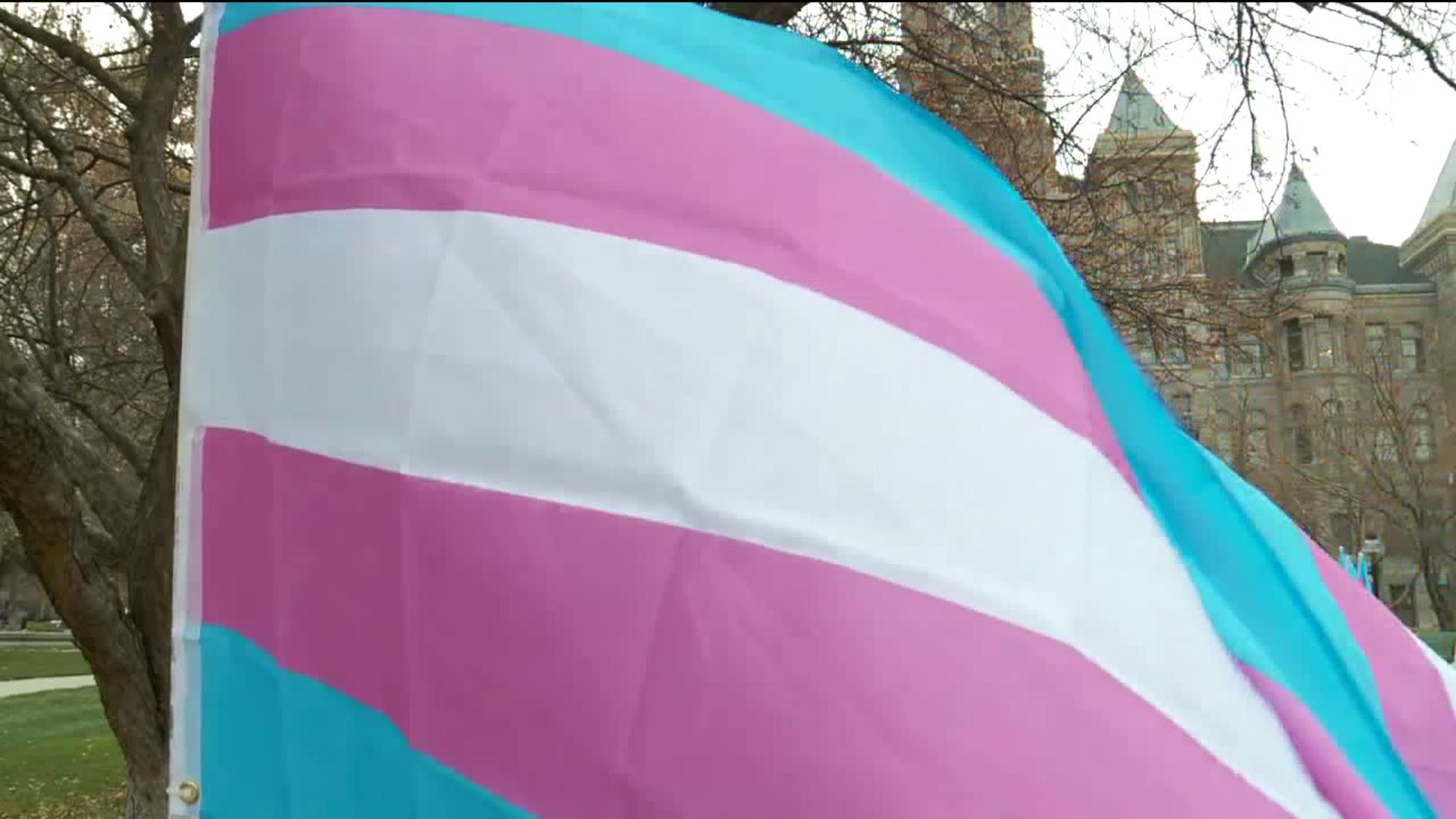 Transgender flag