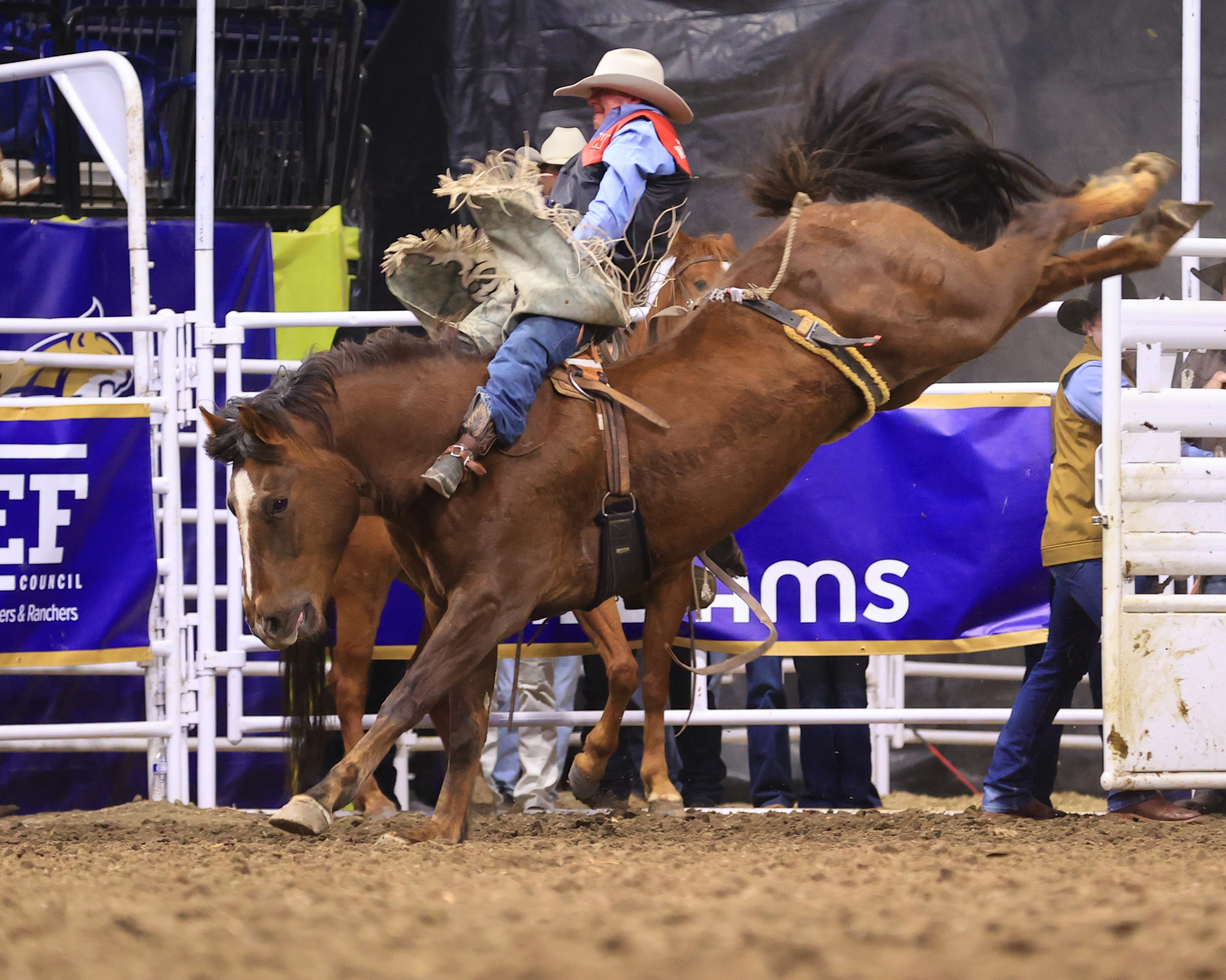 Montana State Spring Rodeo