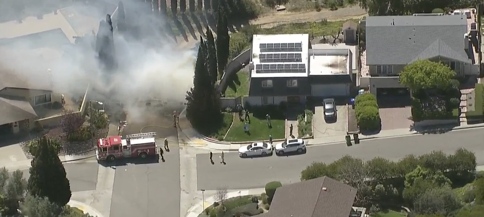 University City Tree Fire