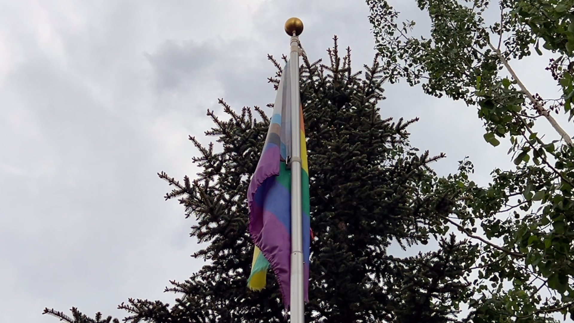 Teller County Pride Flags