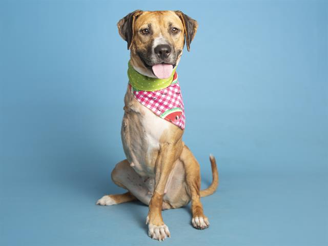 thumbnail_Bea 640533.jpg