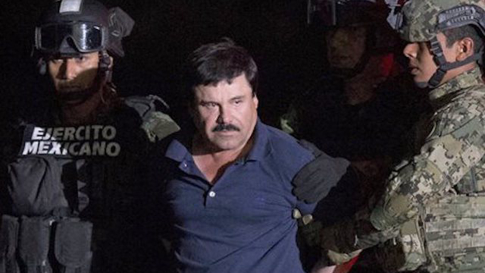WPTV-EL-CHAPO.jpg