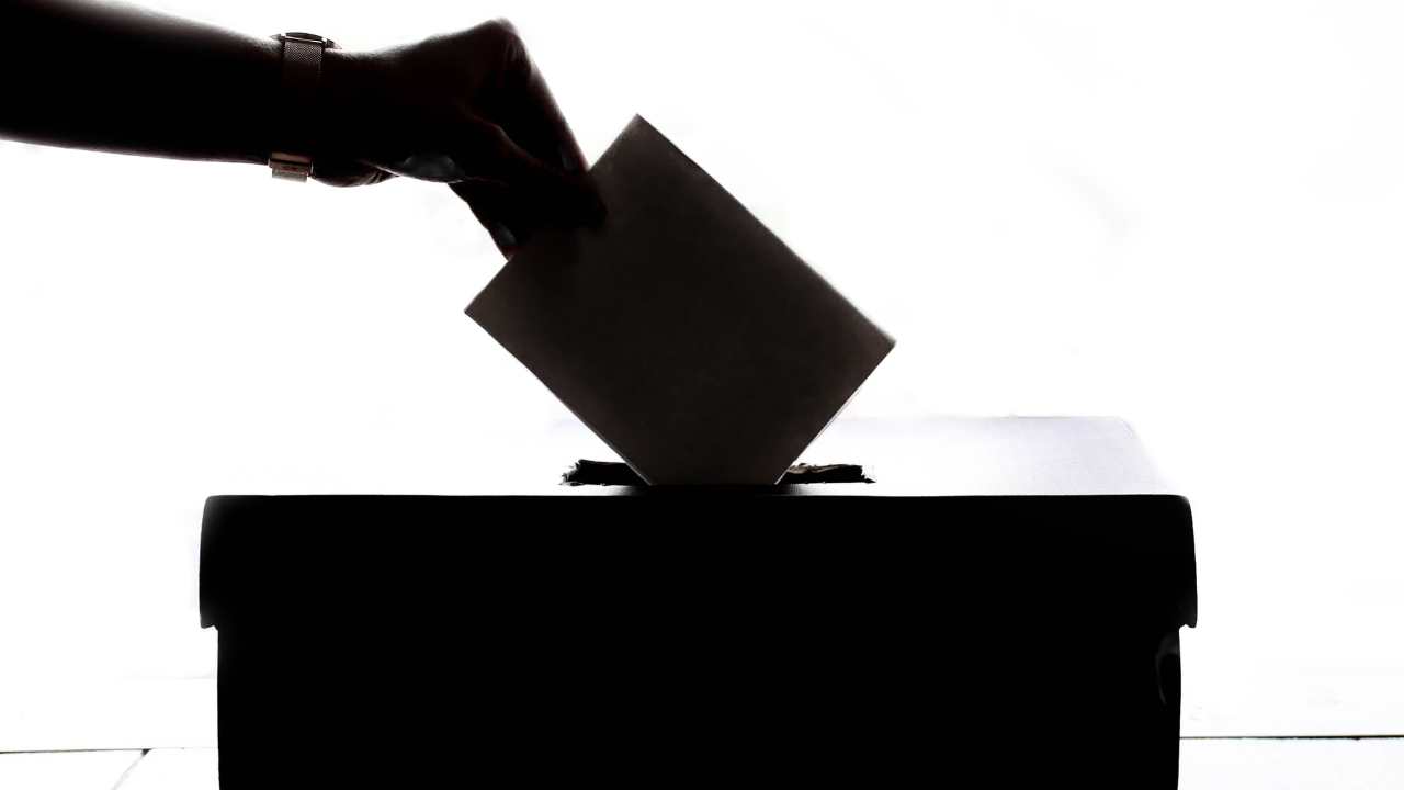 VoterFraud.png