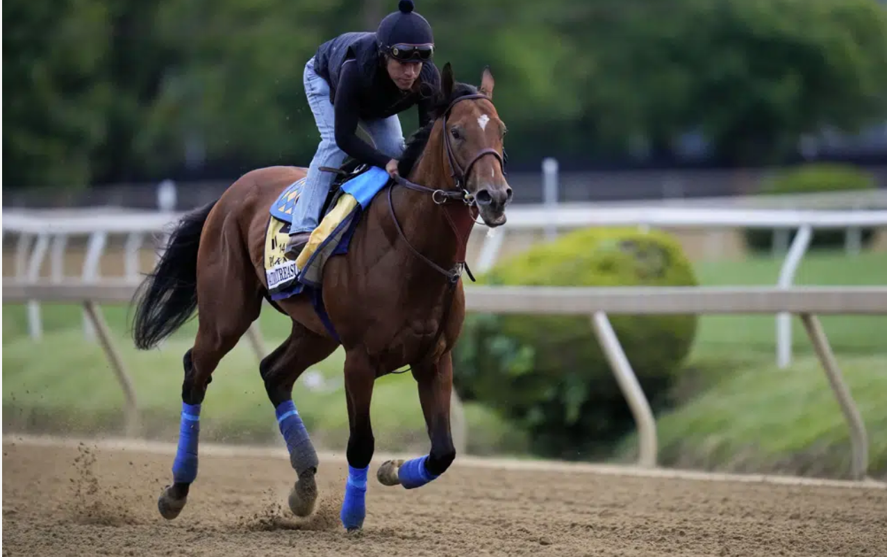 National Treasure wins Preakness