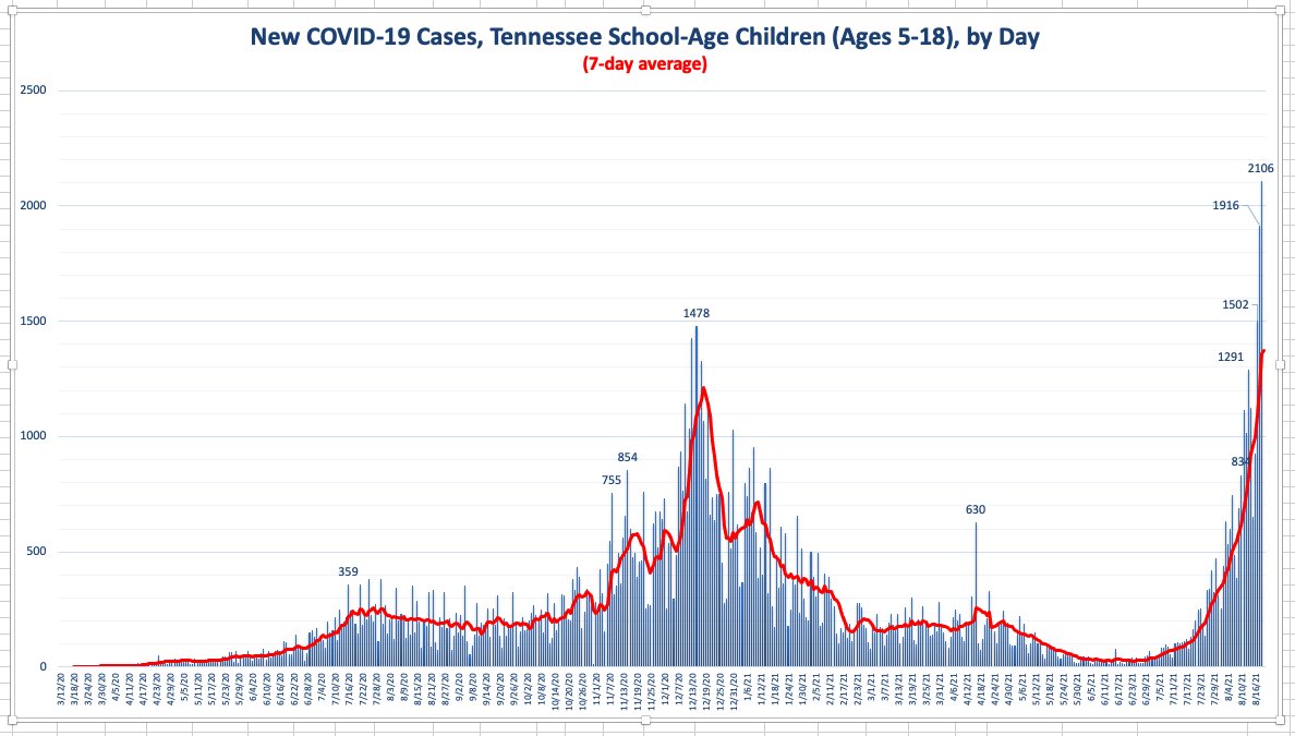 kid cases.jpeg