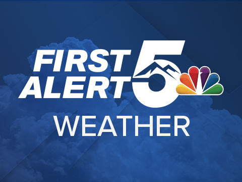 First Alert 480