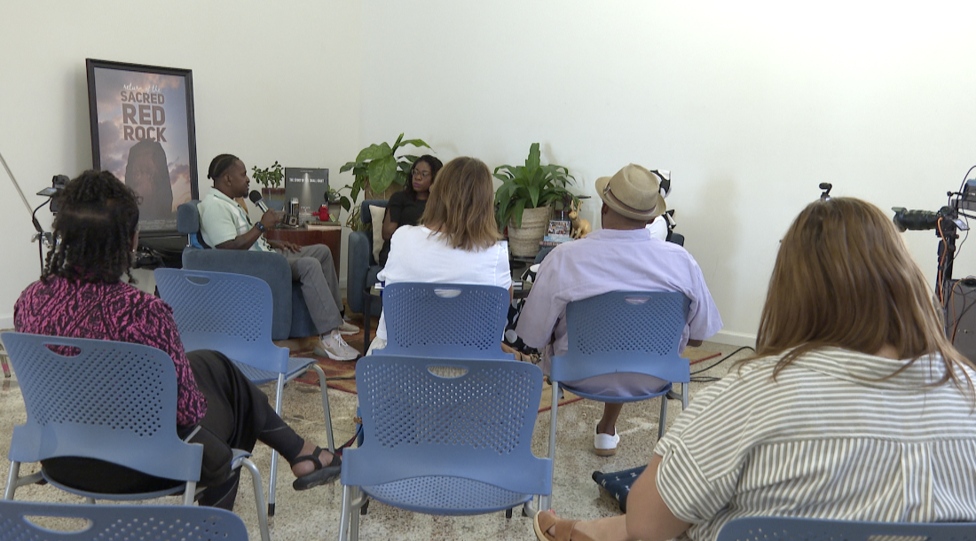 Disabled and Thriving panel