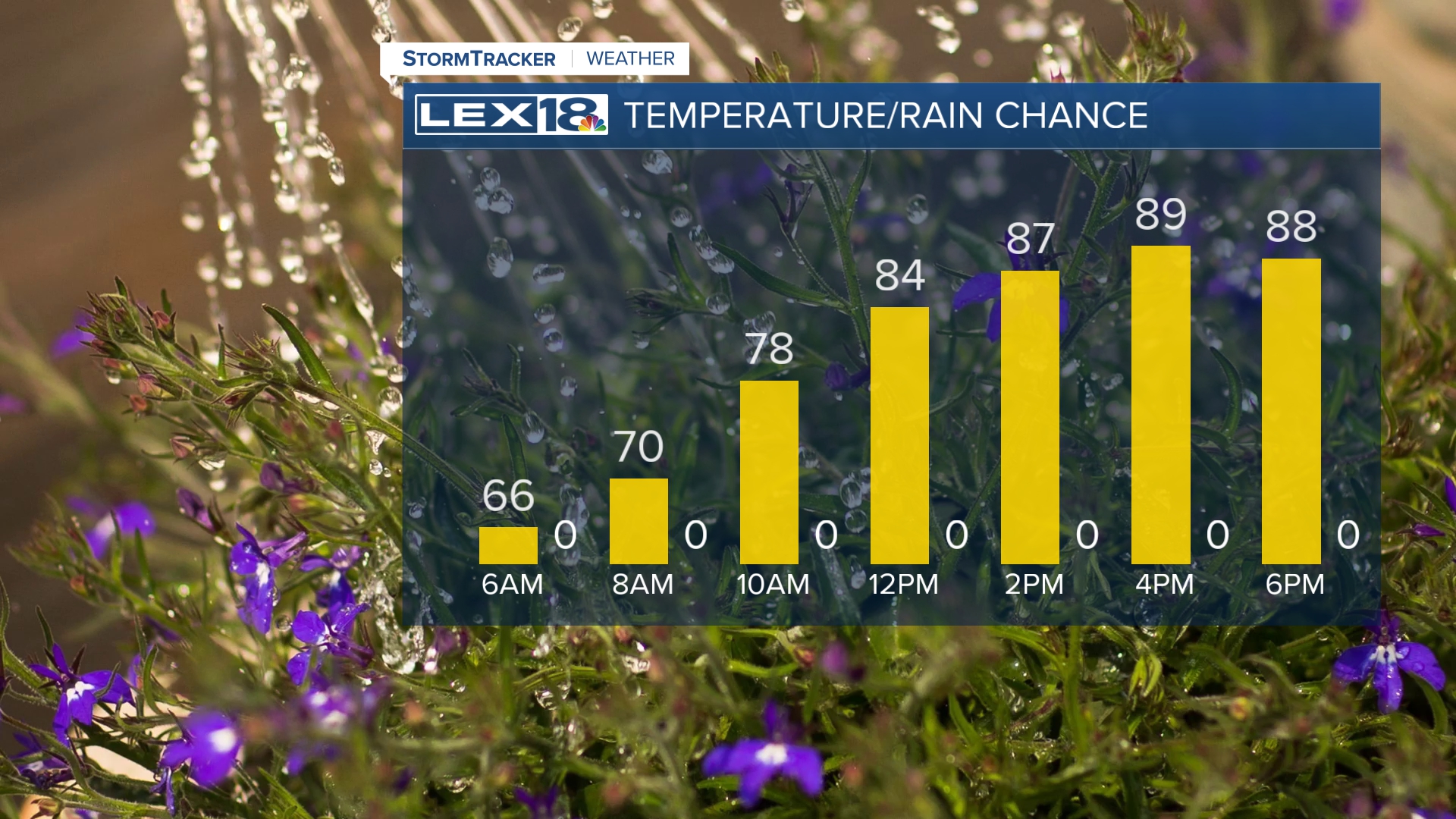 hourly temps pop 711.jfif
