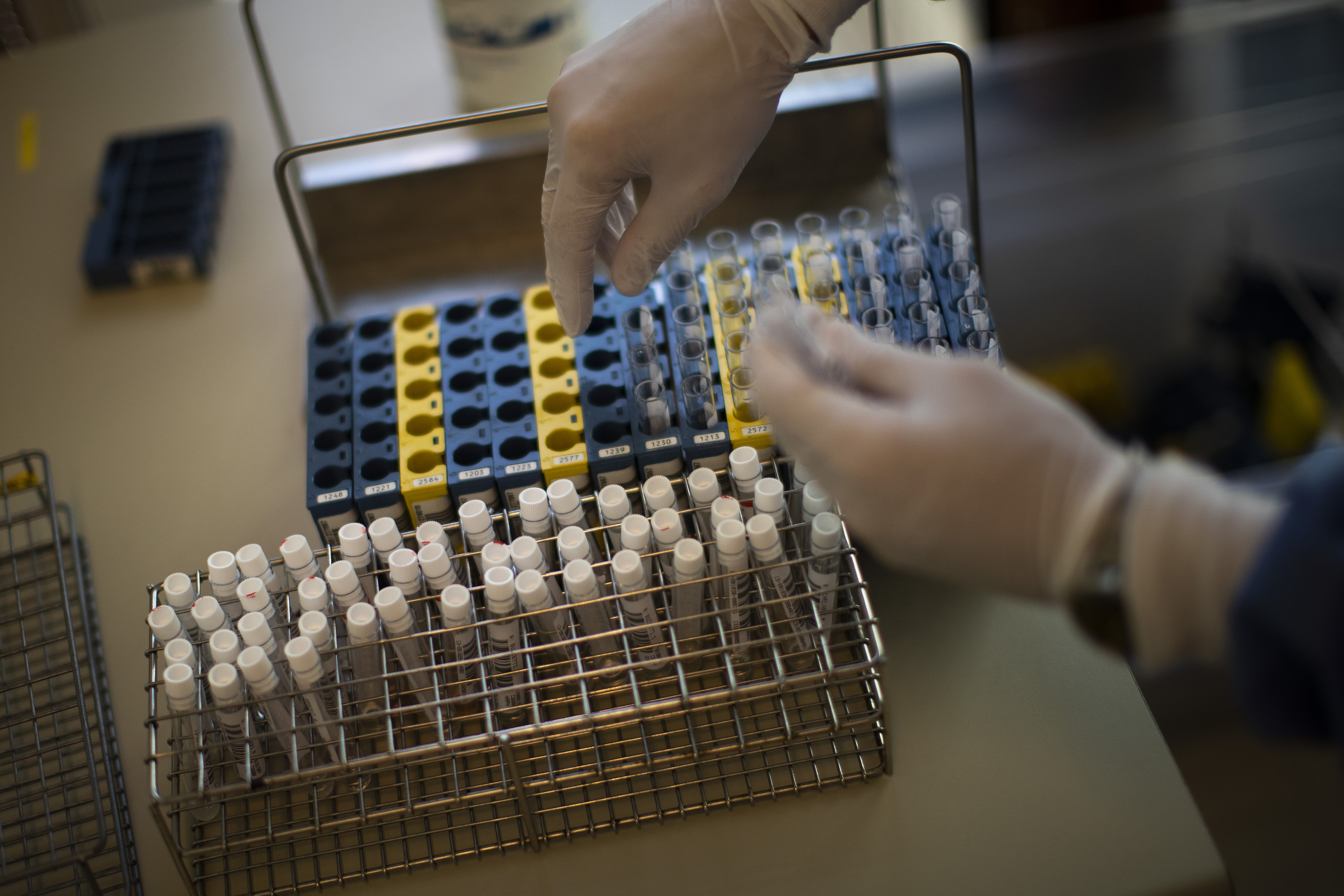 Virus Outbreak Belgium