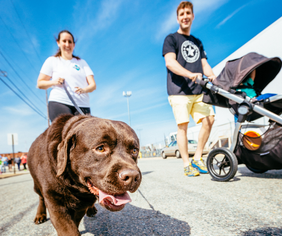 Richmond SPCA dog jog.png