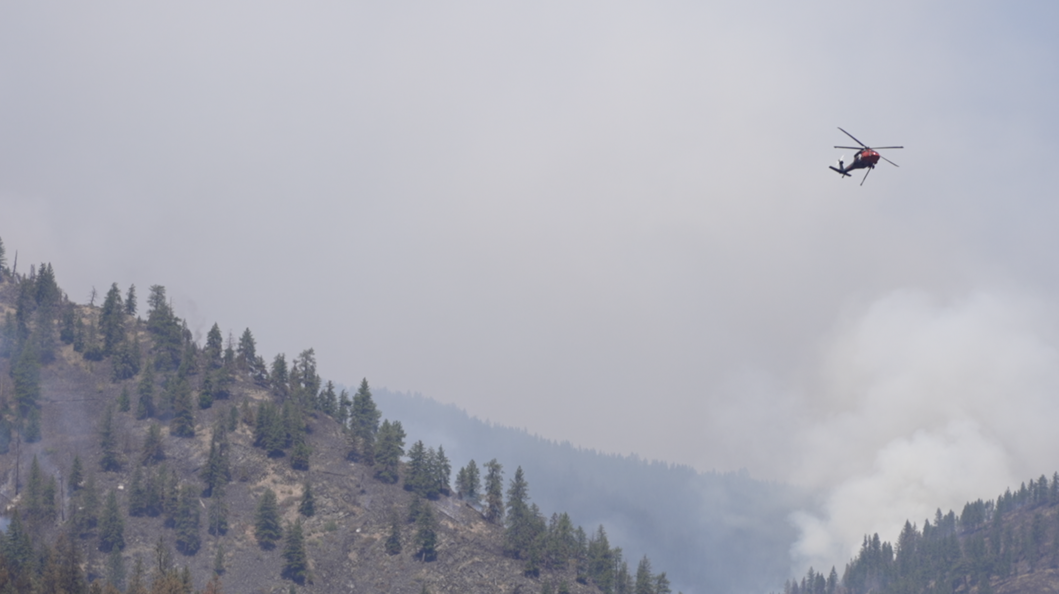 KNOWLES FIRE 081925