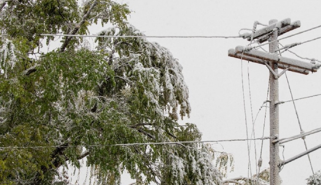 Heavy snow causes widespread power outages in the Flathead - Vimarsana News