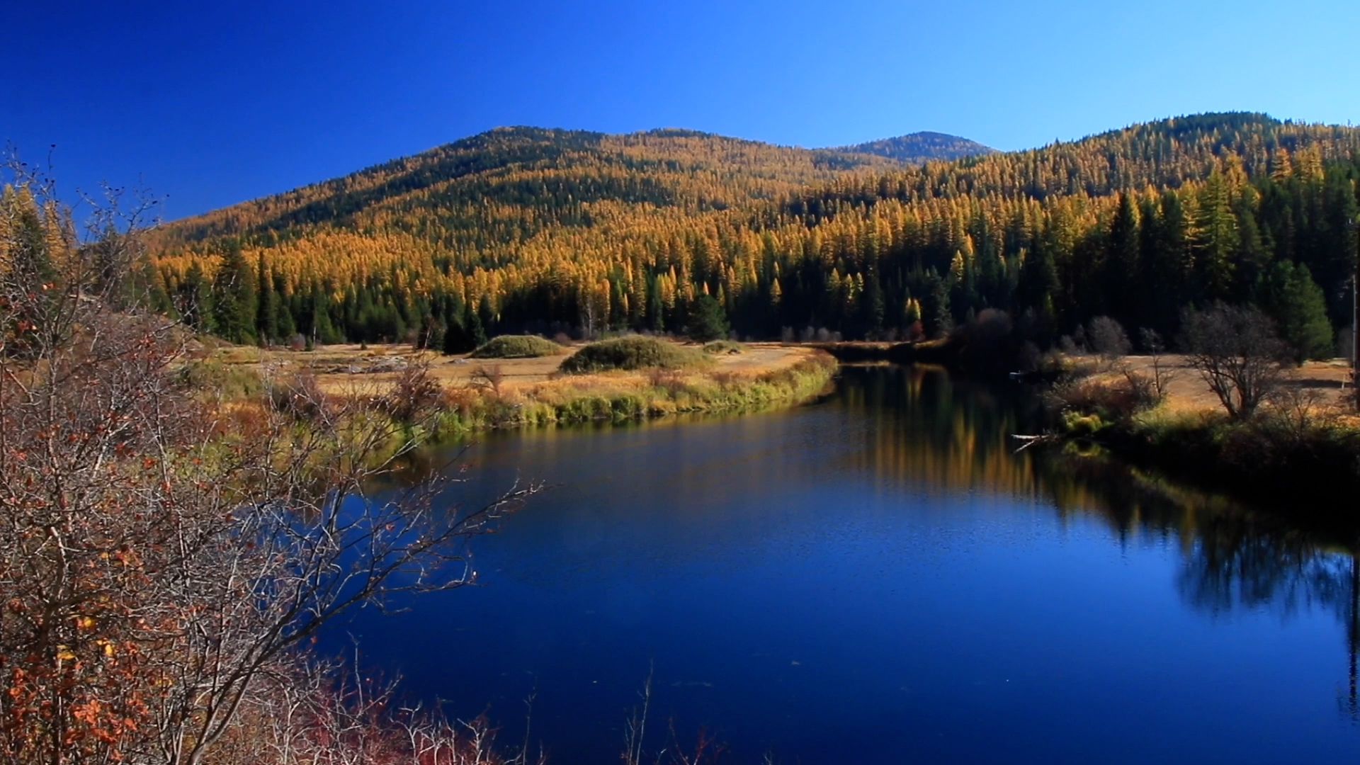 Conservation in the West