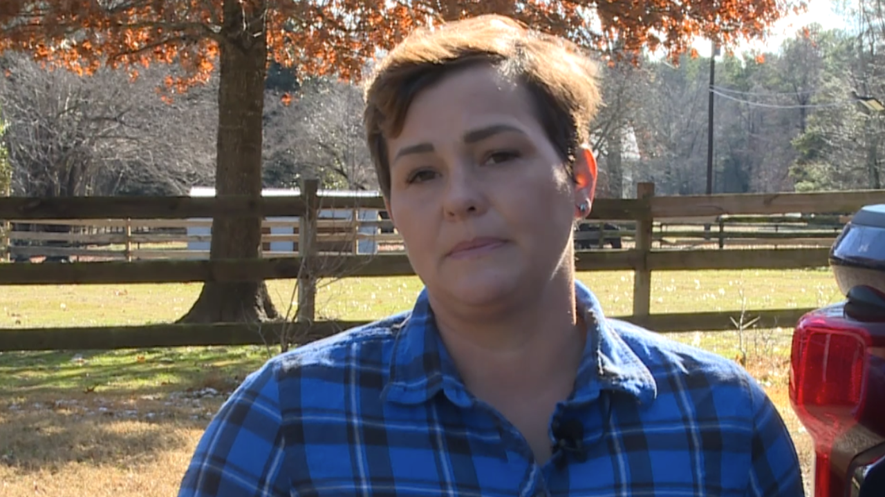 Scott Graphics Shoofly.png